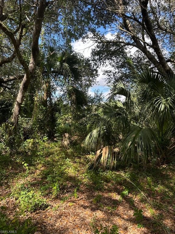 3816 37th ST SW LEHIGH ACRES, FL 33976