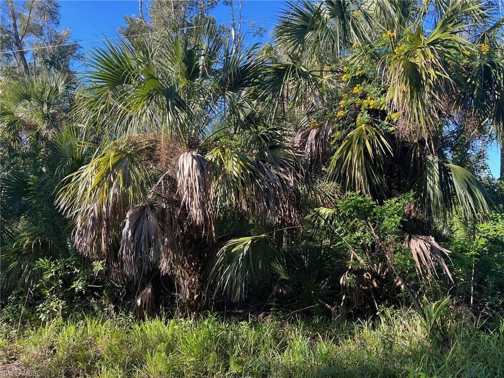 22160 Americana AVE ESTERO, FL 33928