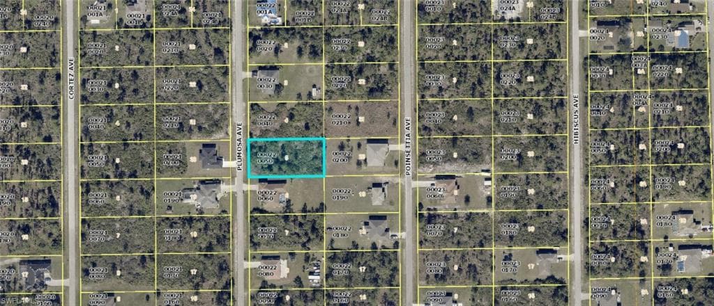 914 Plumosa AVE LEHIGH ACRES, FL 33972
