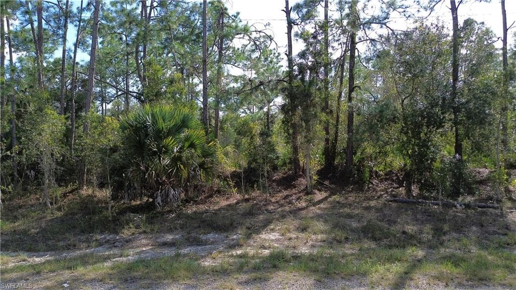 3223 55th ST W LEHIGH ACRES, FL 33971