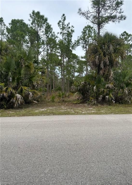 1009 Moore AVE LEHIGH ACRES, FL 33972