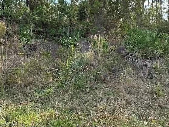 2633 Jacobs ST PORT CHARLOTTE, FL 33953