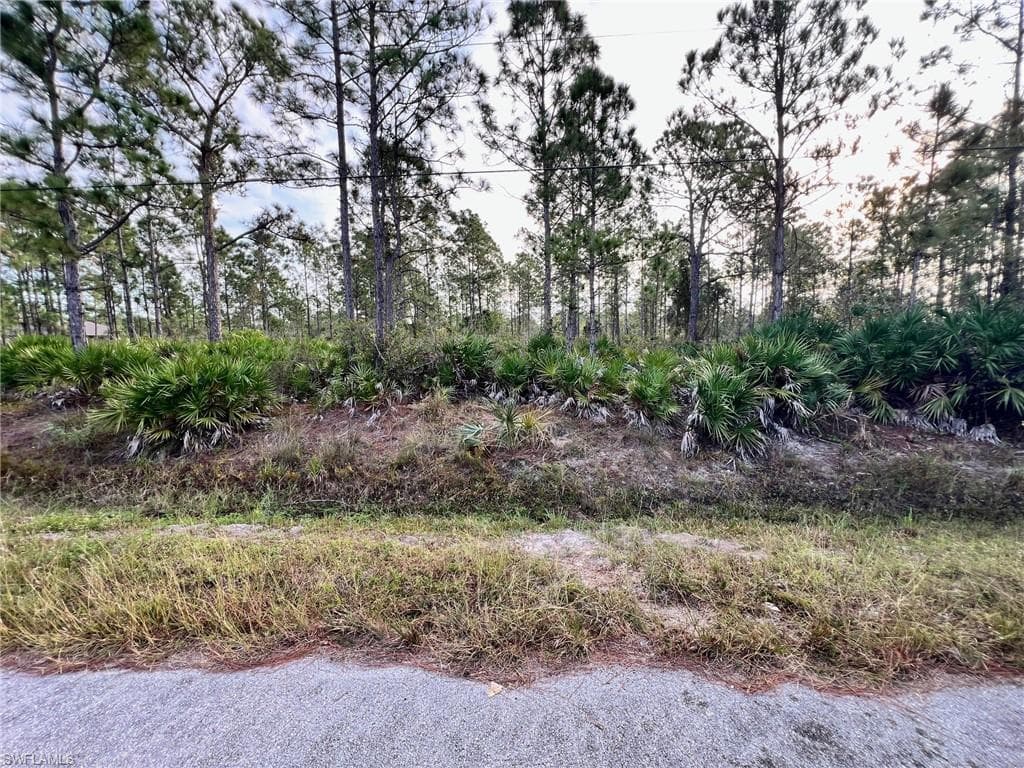 816 Congress AVE LEHIGH ACRES, FL 33972