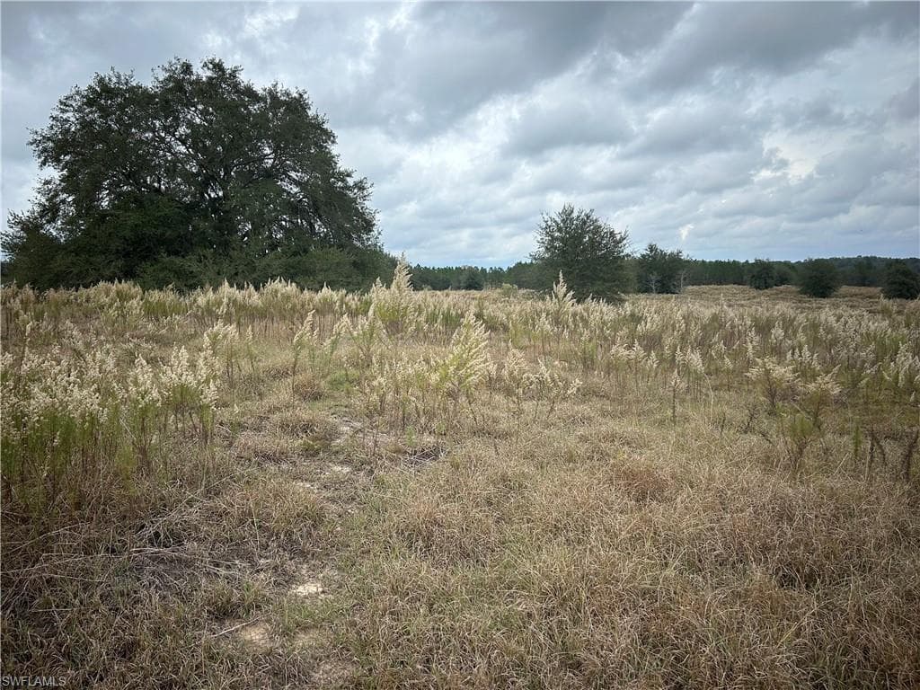 184 N AMBER MEADOWS TER INVERNESS, FL 34453