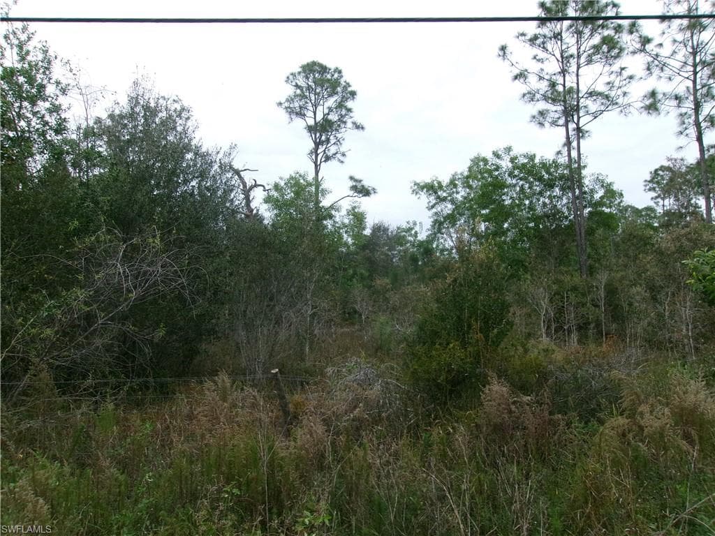 17380 Richard RD FORT MYERS, FL 33913
