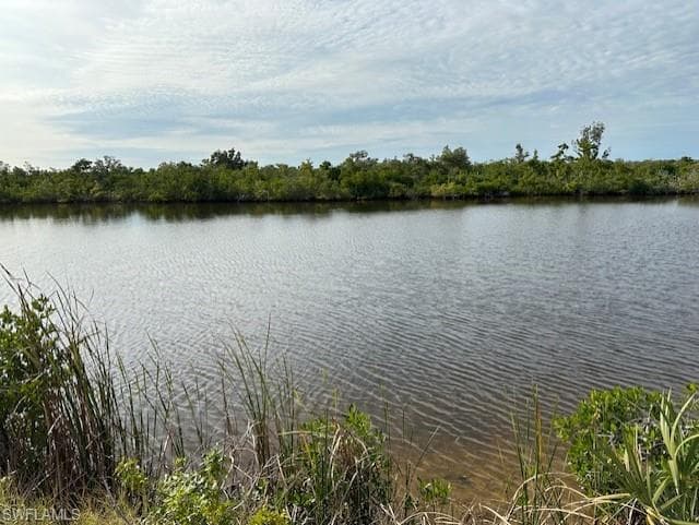 3338 NW 47th AVE CAPE CORAL, FL 33993