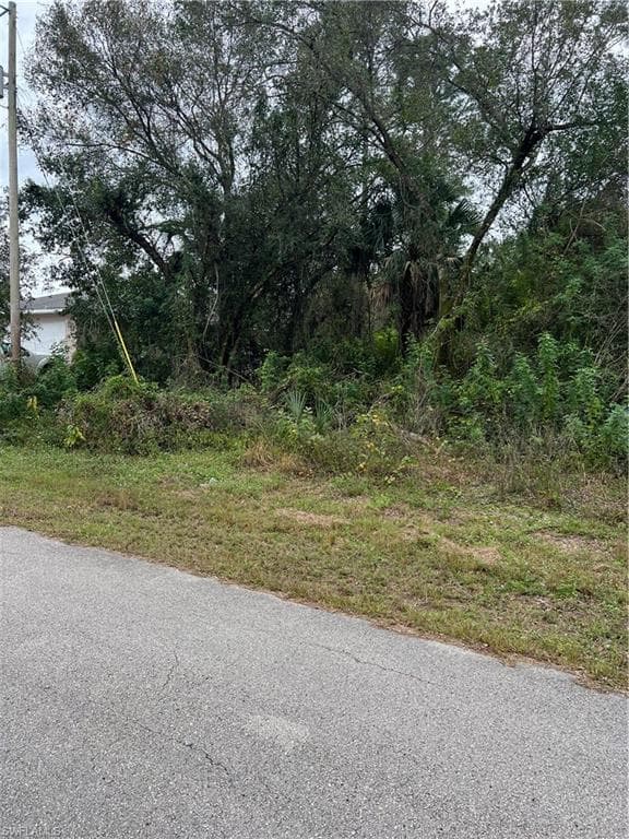 910 Avery ST LEHIGH ACRES, FL 33974