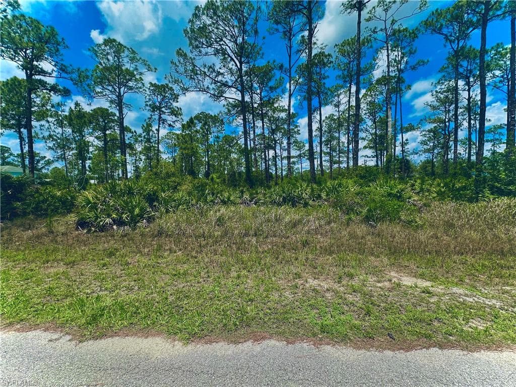 1015 Euclid AVE LEHIGH ACRES, FL 33972