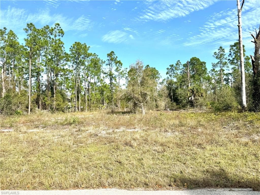 943 E Belmont ST LEHIGH ACRES, FL 33974