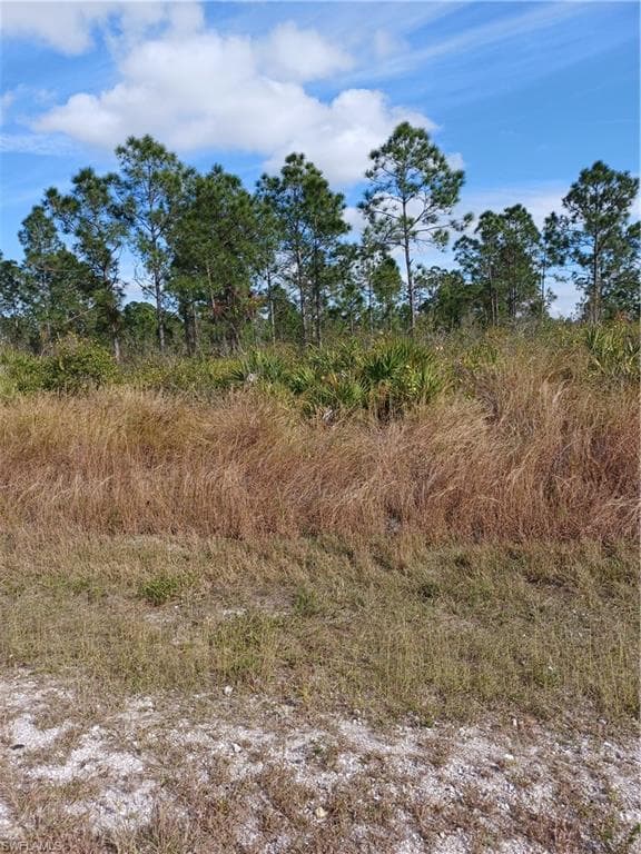 314 Moore AVE LEHIGH ACRES, FL 33936