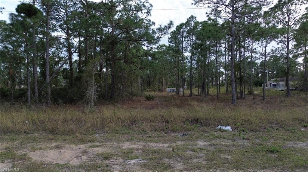 708 Newhall ST E LEHIGH ACRES, FL 33974