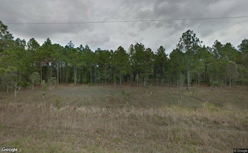 1231 Raccoon ST LEHIGH ACRES, FL 33974