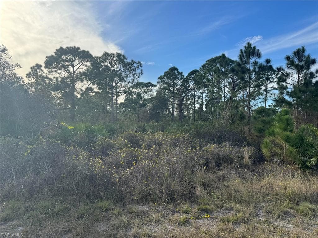 718 Drury AVE LEHIGH ACRES, FL 33974