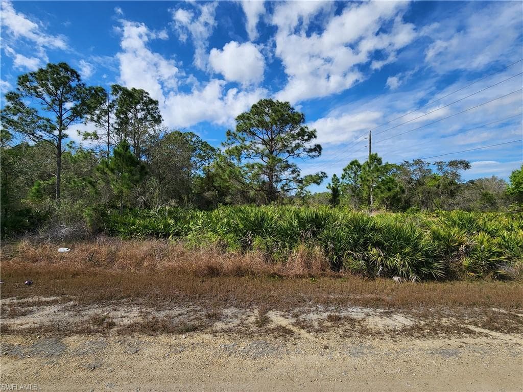2101 W 17th ST LEHIGH ACRES, FL 33972