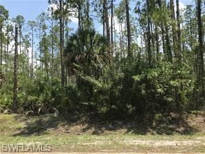 Weber BLVD NAPLES, FL 34117