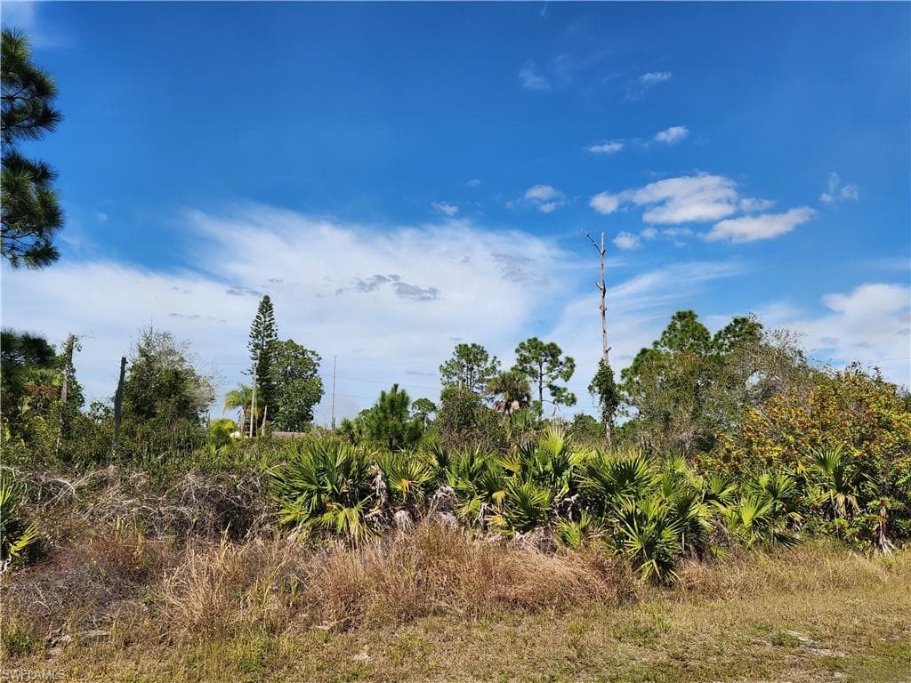 951 Green ST E LEHIGH ACRES, FL 33974