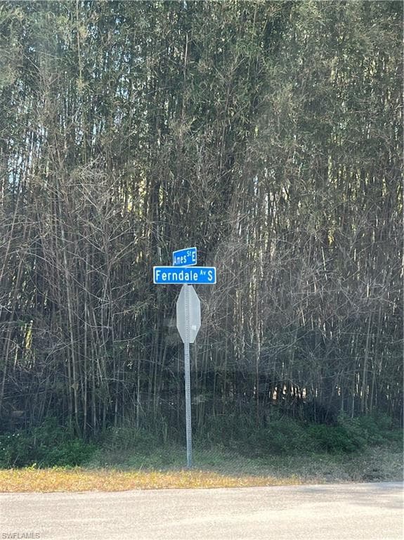 845 Ferndale AVE S LEHIGH ACRES, FL 33974