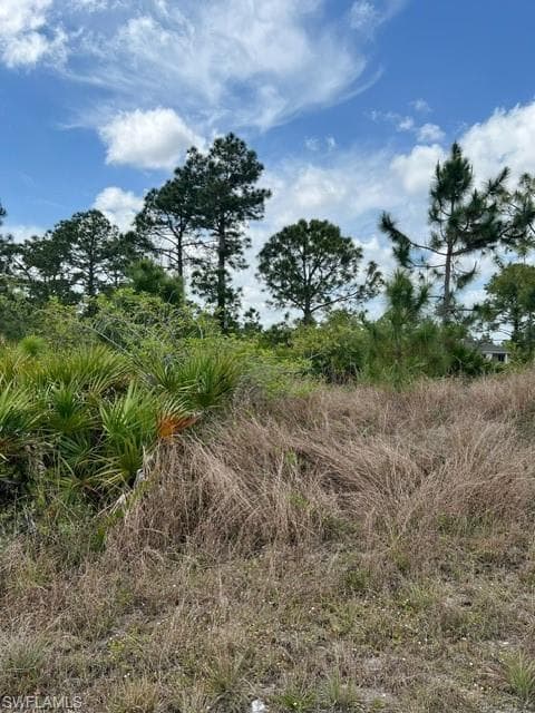 402 Genoa AVE S LEHIGH ACRES, FL 33974