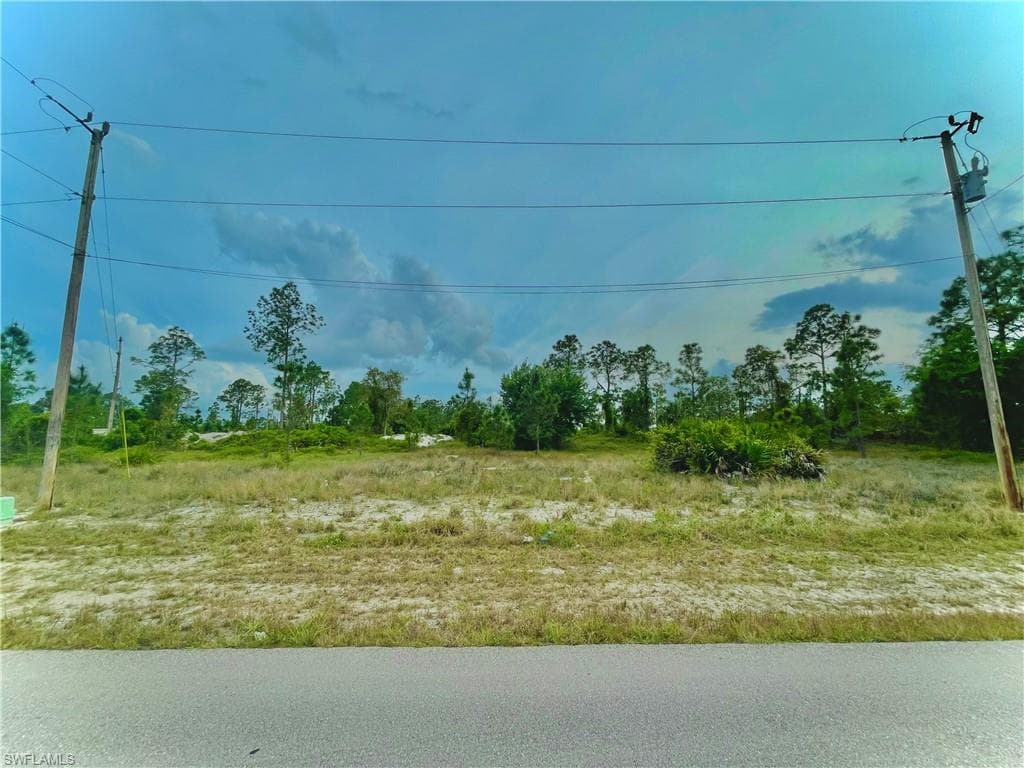 656 Raintree ST E LEHIGH ACRES, FL 33974