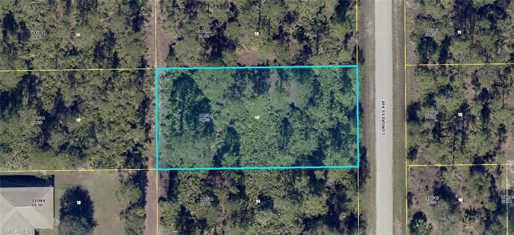 1103 Congress AVE LEHIGH ACRES, FL 33972