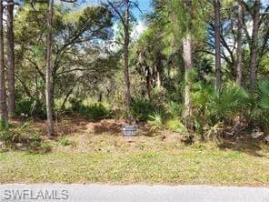0 Wild Goose DR NORTH PORT, FL 34291