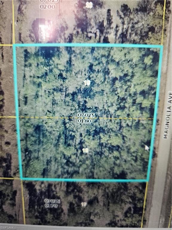 1011 Magnolia AVE LEHIGH ACRES, FL 33972