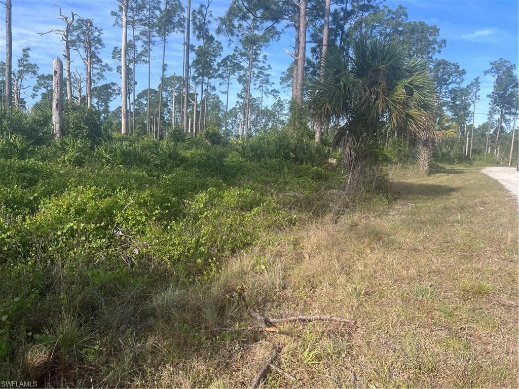 1042 Greenfield ST LEHIGH ACRES, FL 33974