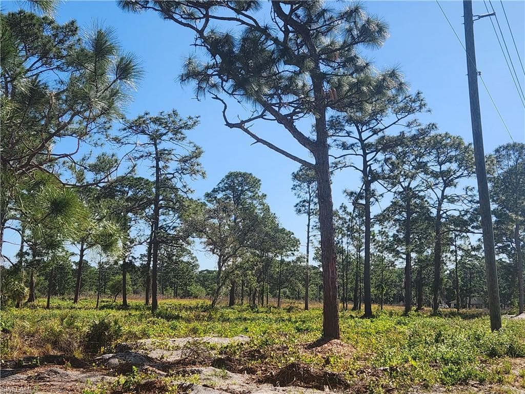 24690 Loblolly Bay RD LABELLE, FL 33935