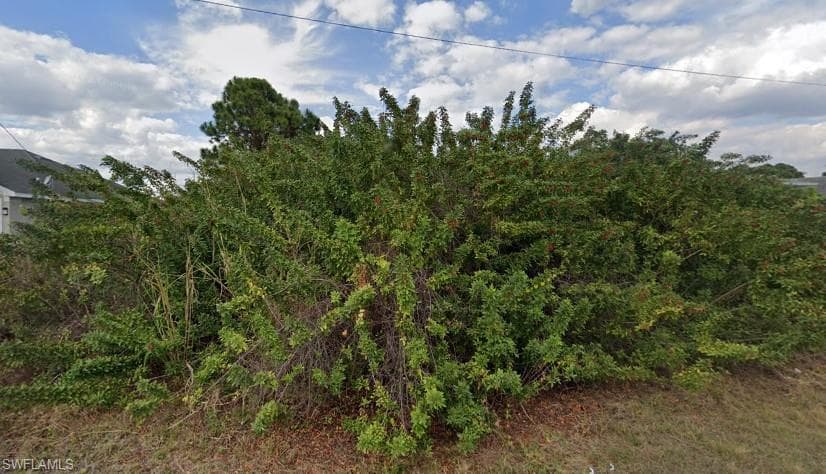 3004 19th ST W LEHIGH ACRES, FL 33971