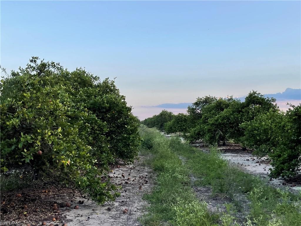 6475 7th RD LABELLE, FL 33935