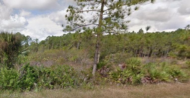 126 Noblemen AVE S LEHIGH ACRES, FL 33974