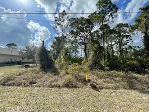 720 Bering AVE S LEHIGH ACRES, FL 33974