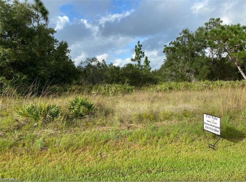 29420 Lillis ST PUNTA GORDA, FL 33982