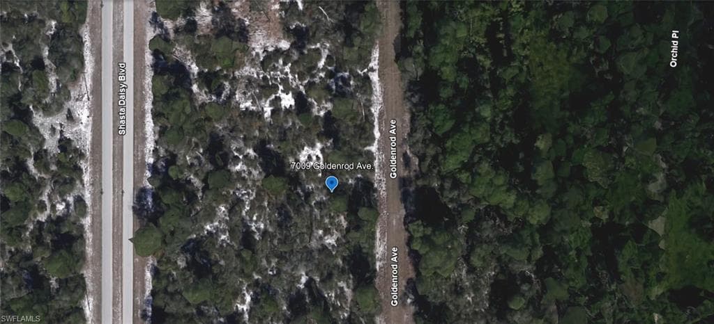 7009 Goldenrod AVE SEBRING, FL 33875