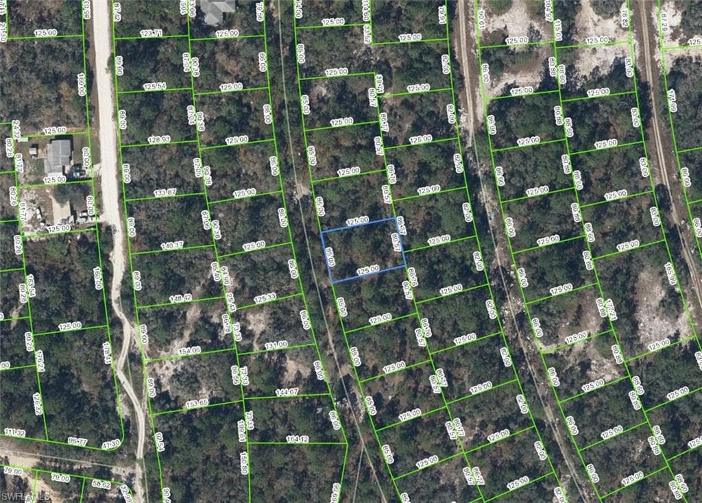 397 Blue Horizon DR LAKE PLACID, FL 33852