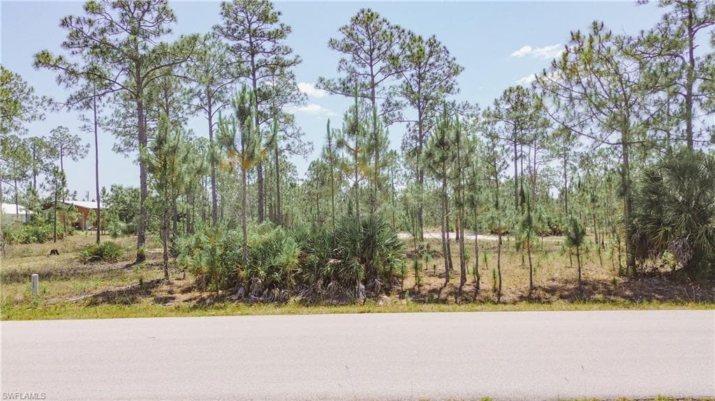 1108 McArthur AVE LEHIGH ACRES, FL 33936