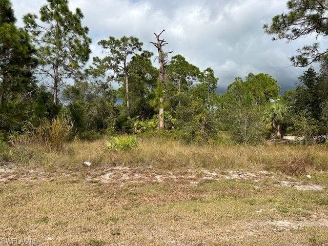 847/849 CARBON ST E LEHIGH ACRES, FL 33974