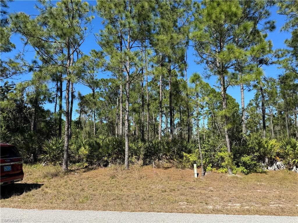 2310 Columbus AVE ALVA, FL 33920