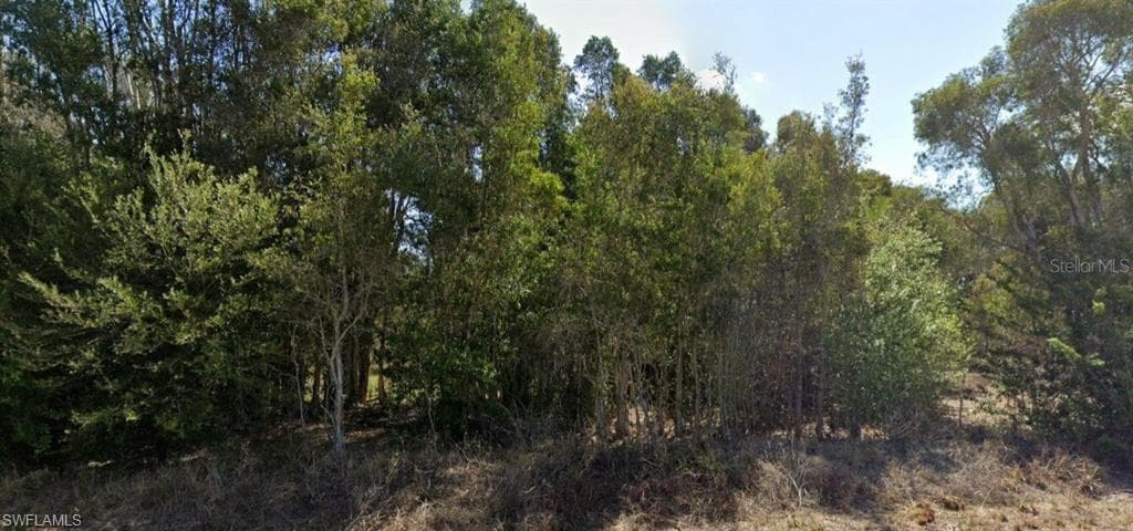 4205 Nora AVE S LEHIGH ACRES, FL 33976