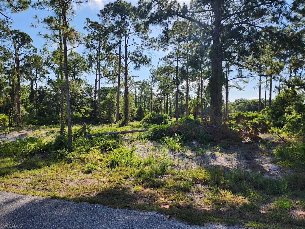 2004 Hamilton AVE ALVA, FL 33920