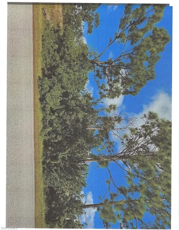 1249 Cresent ST E LEHIGH ACRES, FL 33974
