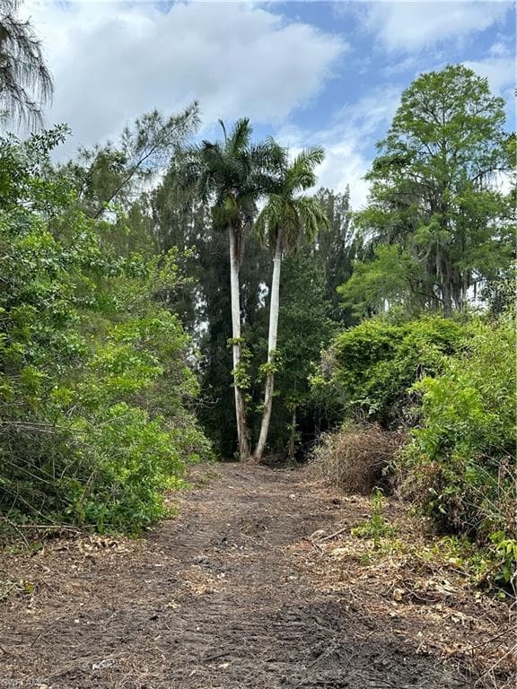 Singletary ST OTHER, FL 34137