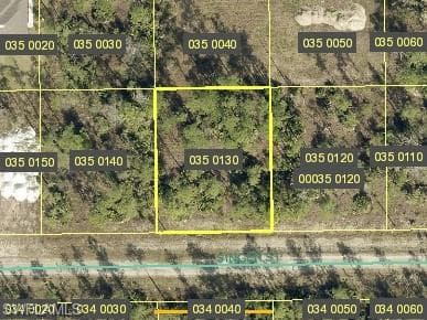 218 Singer ST LEHIGH ACRES, FL 33972