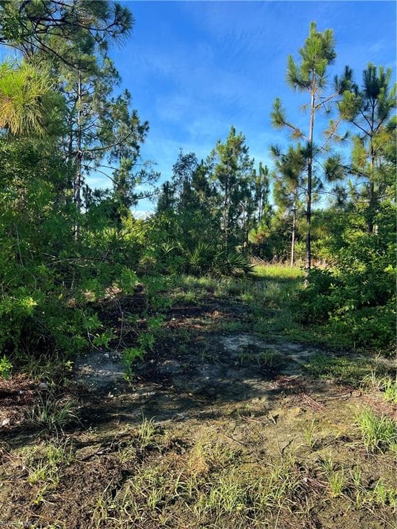 2513 39th ST SW LEHIGH ACRES, FL 33976