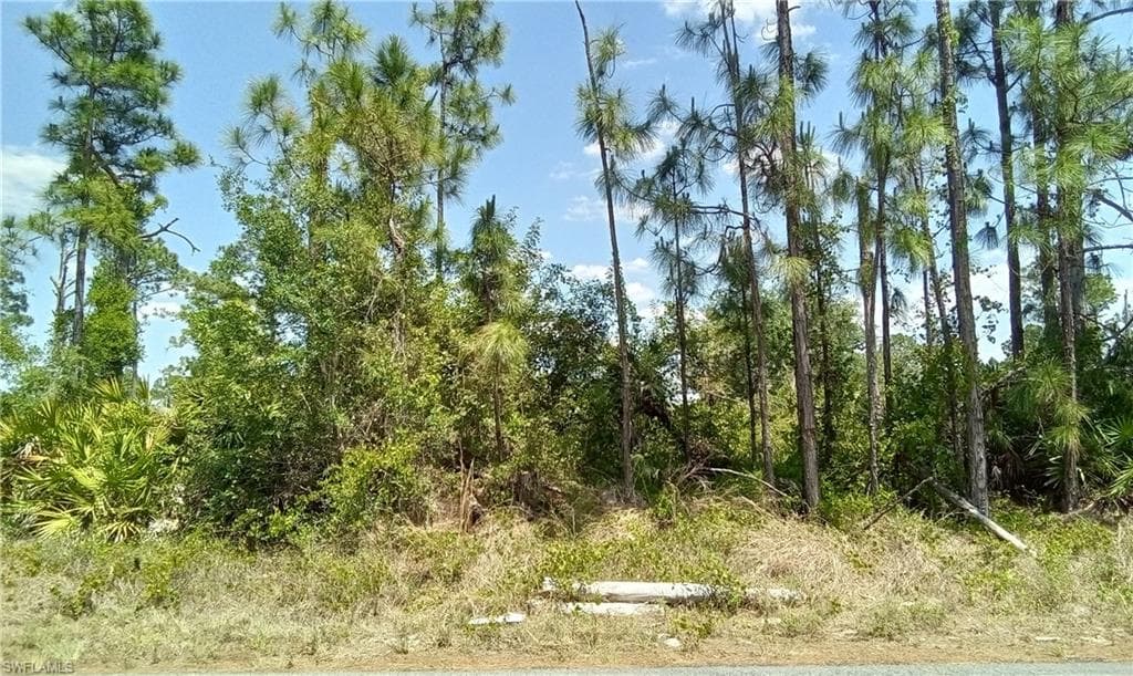 TBD BROOK AVE S LEHIGH ACRES, FL 33974