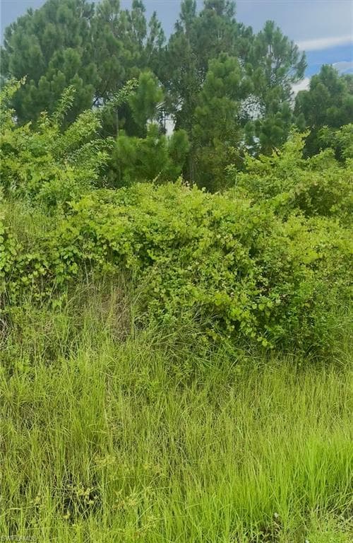 3803 6th ST SW LEHIGH ACRES, FL 33976