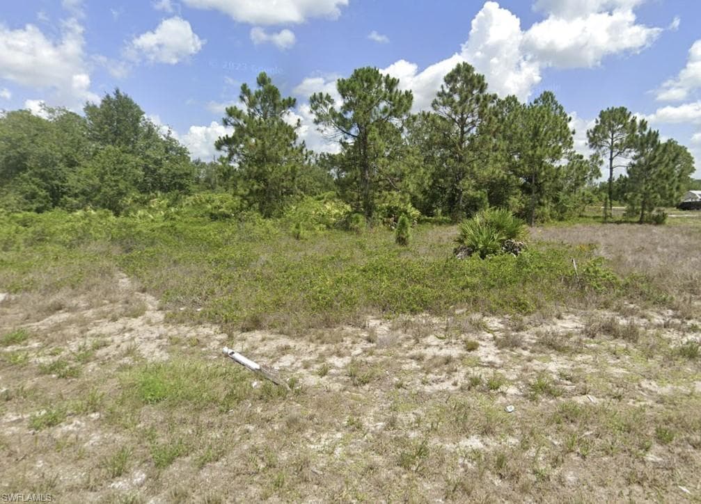 1033 Plymouth ST E LEHIGH ACRES, FL 33974