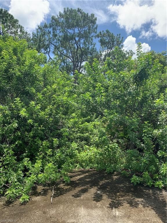 11350 Six Ls Farm RD NAPLES, FL 34114