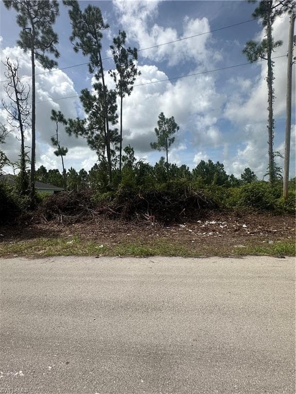 1054 Coleridge ST LEHIGH ACRES, FL 33974