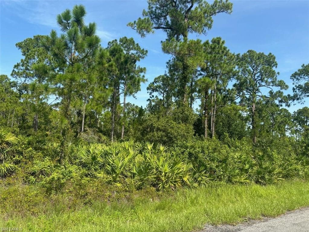 1213 Dixie AVE LEHIGH ACRES, FL 33972